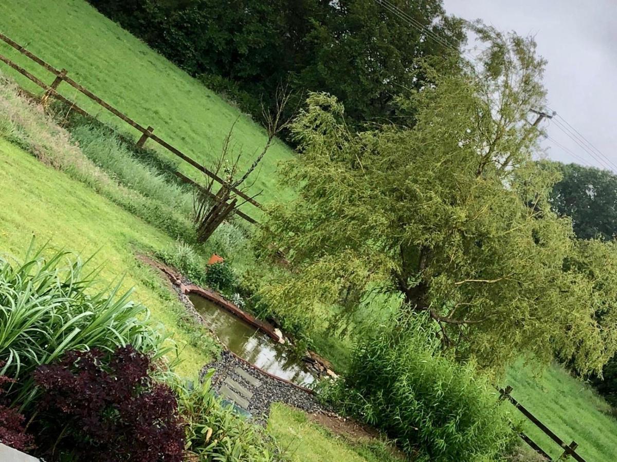 Ramsgrange Tobernaglough Wexford Pet Friendly Country B&B מראה חיצוני תמונה