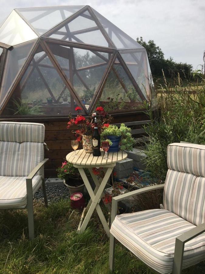 Ramsgrange Tobernaglough Wexford Pet Friendly Country B&B מראה חיצוני תמונה