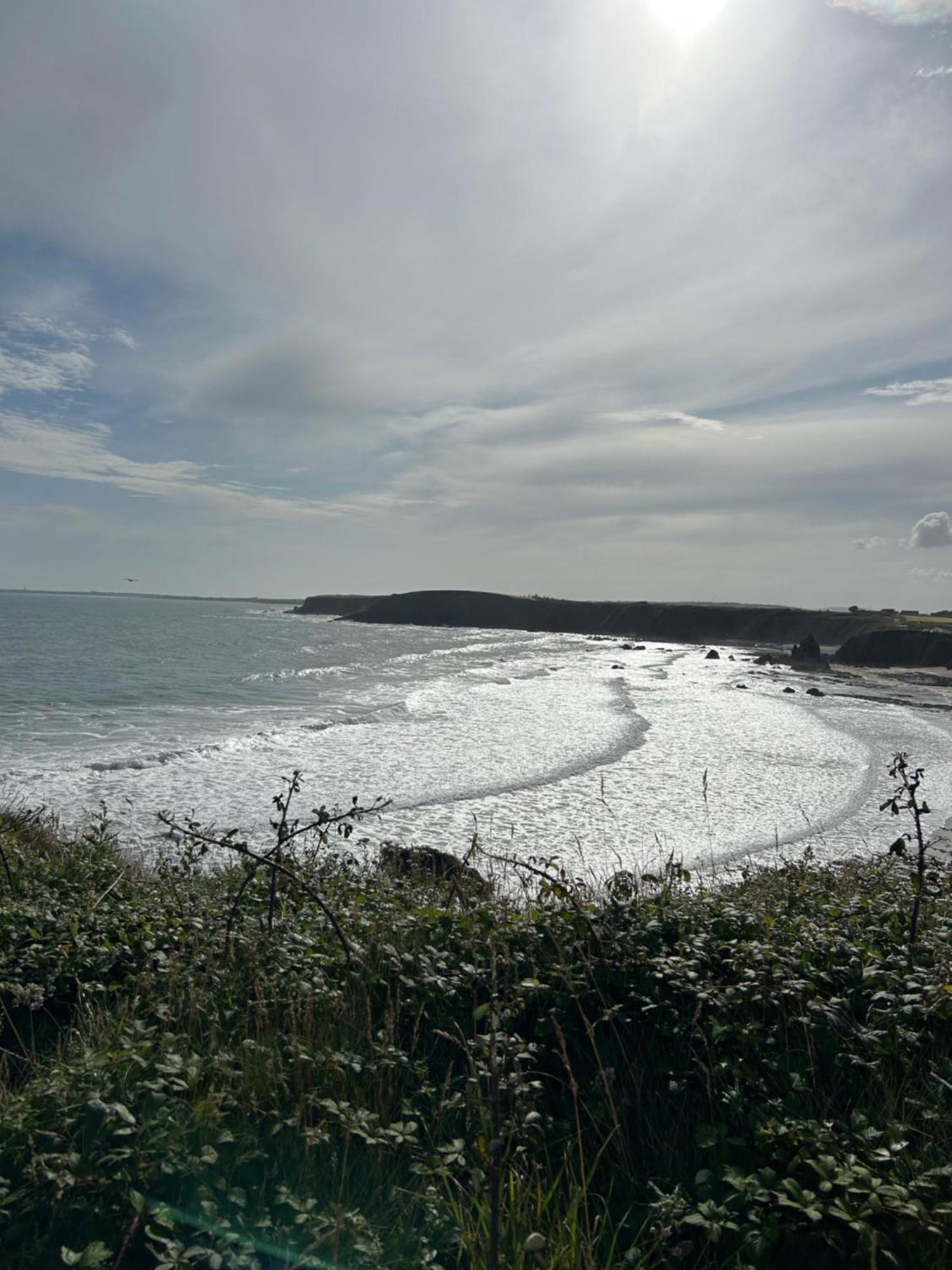 Ramsgrange Tobernaglough Wexford Pet Friendly Country B&B מראה חיצוני תמונה