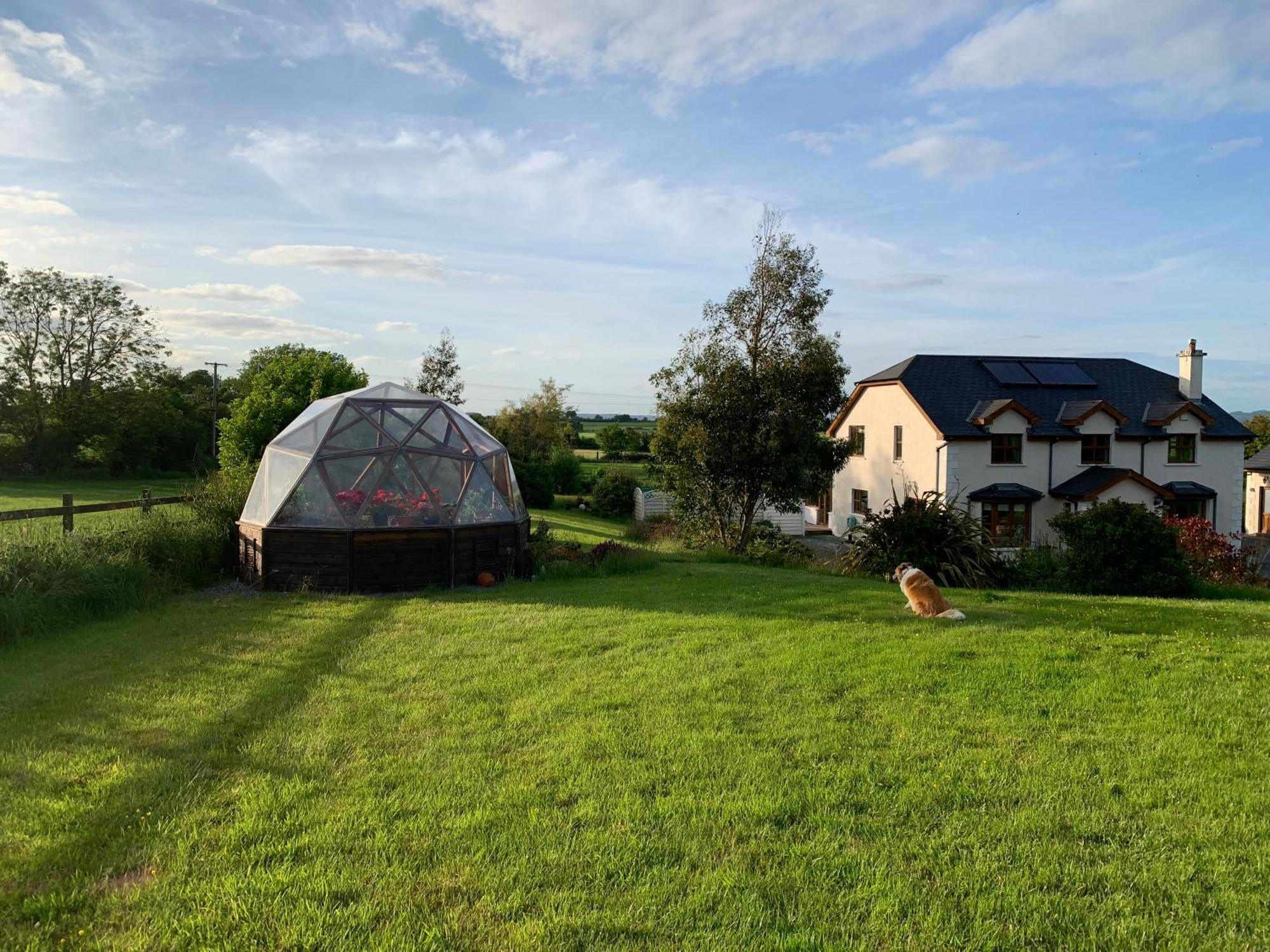 Ramsgrange Tobernaglough Wexford Pet Friendly Country B&B מראה חיצוני תמונה