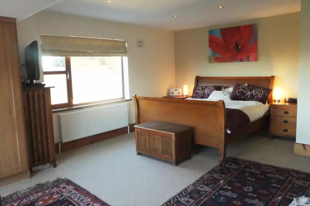 Ramsgrange Tobernaglough Wexford Pet Friendly Country B&B מראה חיצוני תמונה