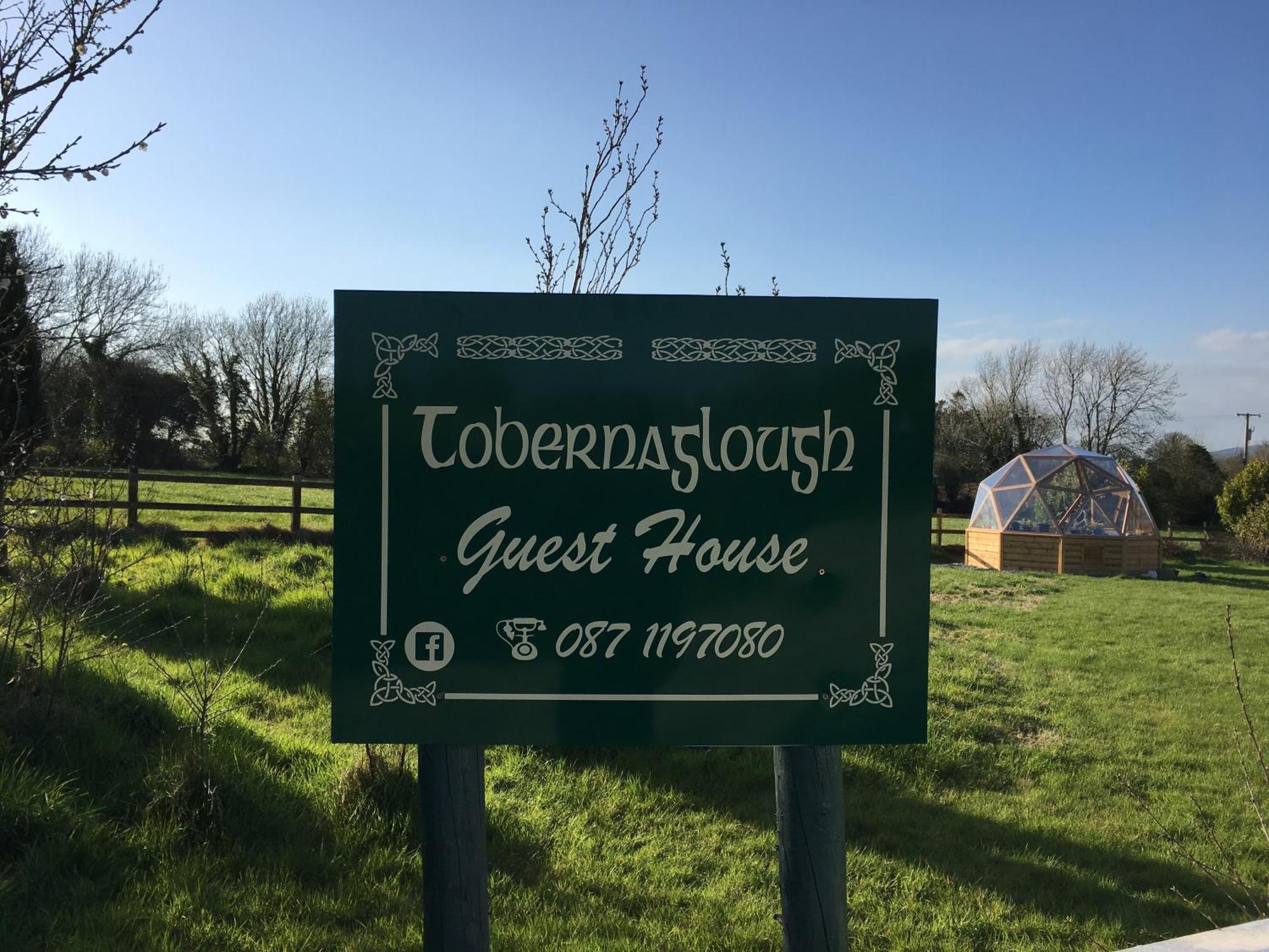 Ramsgrange Tobernaglough Wexford Pet Friendly Country B&B מראה חיצוני תמונה
