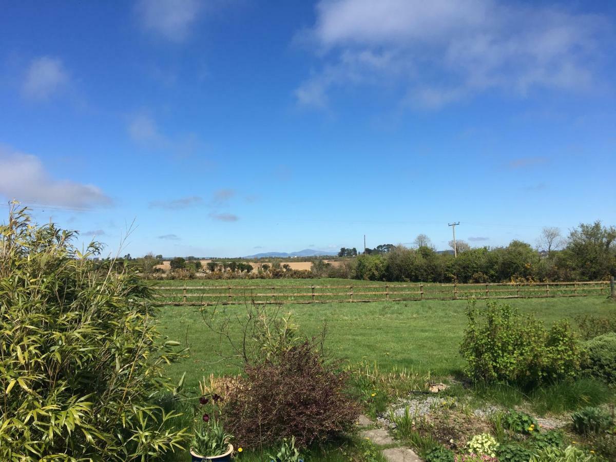 Ramsgrange Tobernaglough Wexford Pet Friendly Country B&B מראה חיצוני תמונה