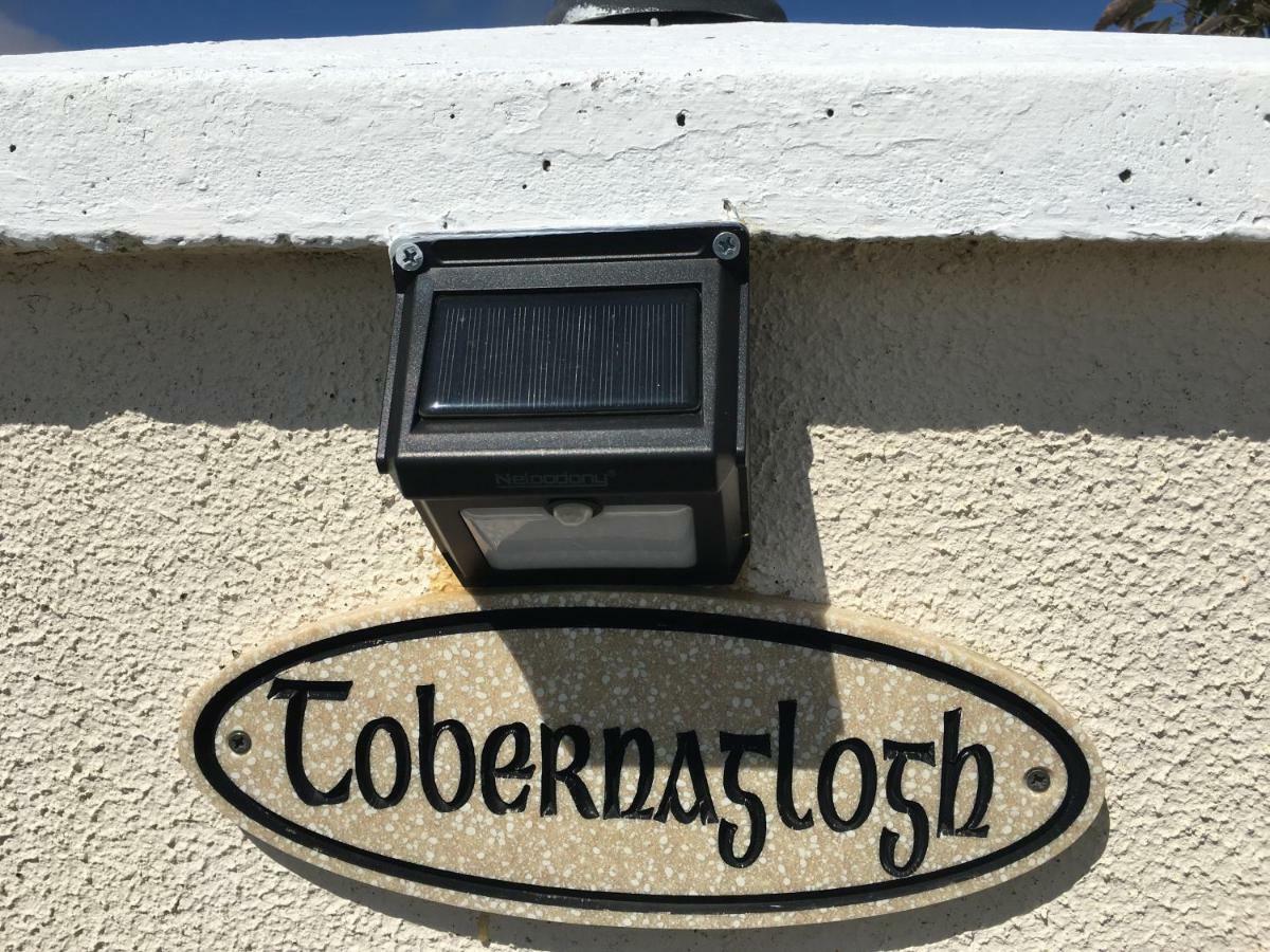 Ramsgrange Tobernaglough Wexford Pet Friendly Country B&B מראה חיצוני תמונה