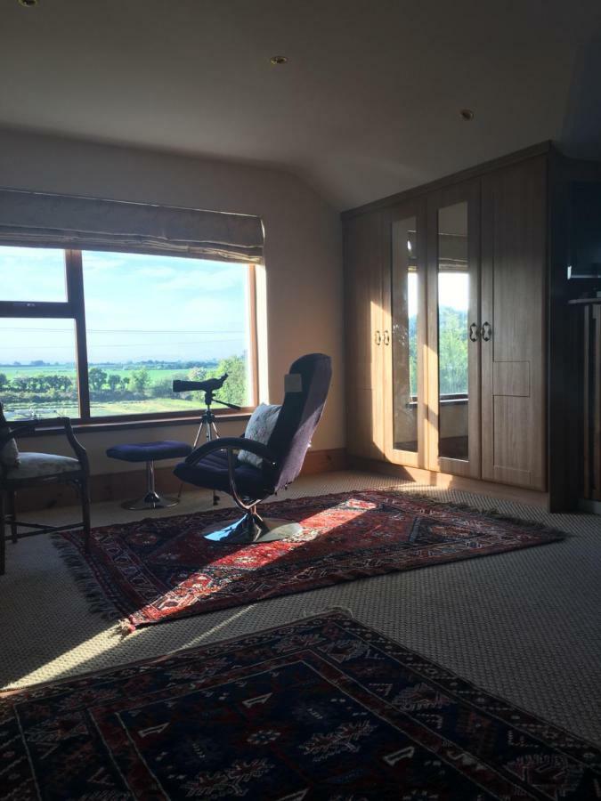 Ramsgrange Tobernaglough Wexford Pet Friendly Country B&B מראה חיצוני תמונה