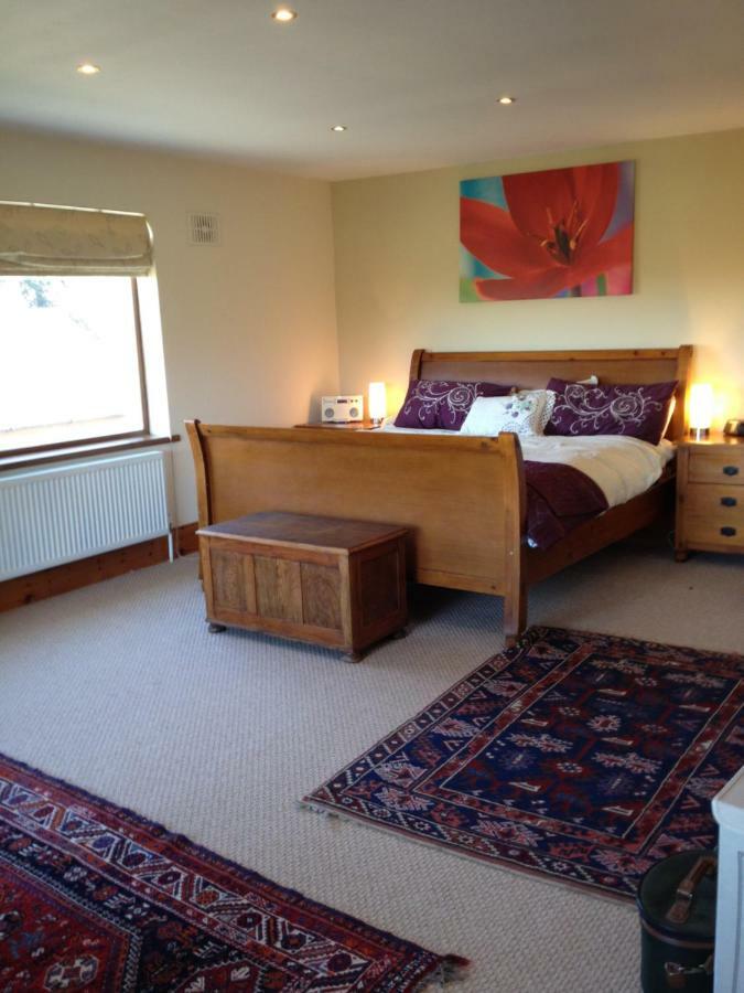 Ramsgrange Tobernaglough Wexford Pet Friendly Country B&B מראה חיצוני תמונה