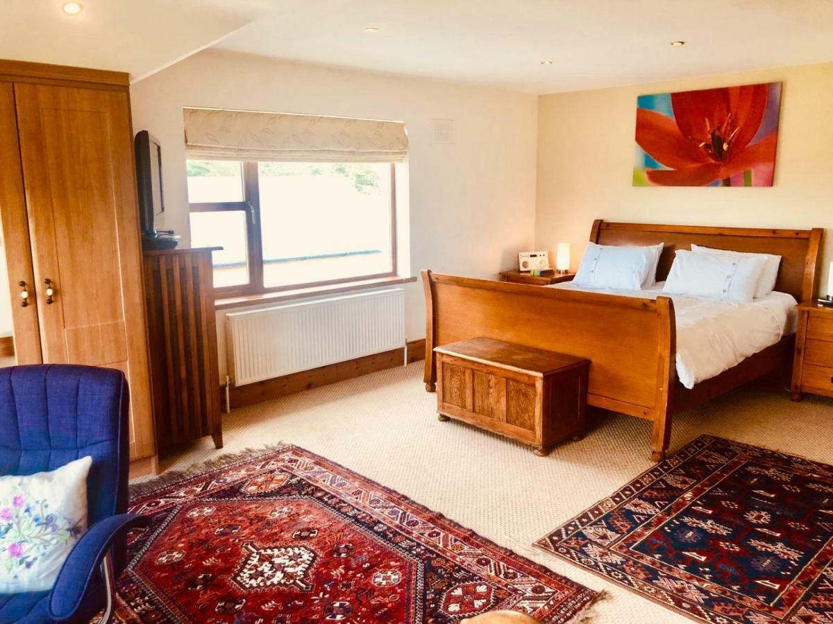 Ramsgrange Tobernaglough Wexford Pet Friendly Country B&B מראה חיצוני תמונה