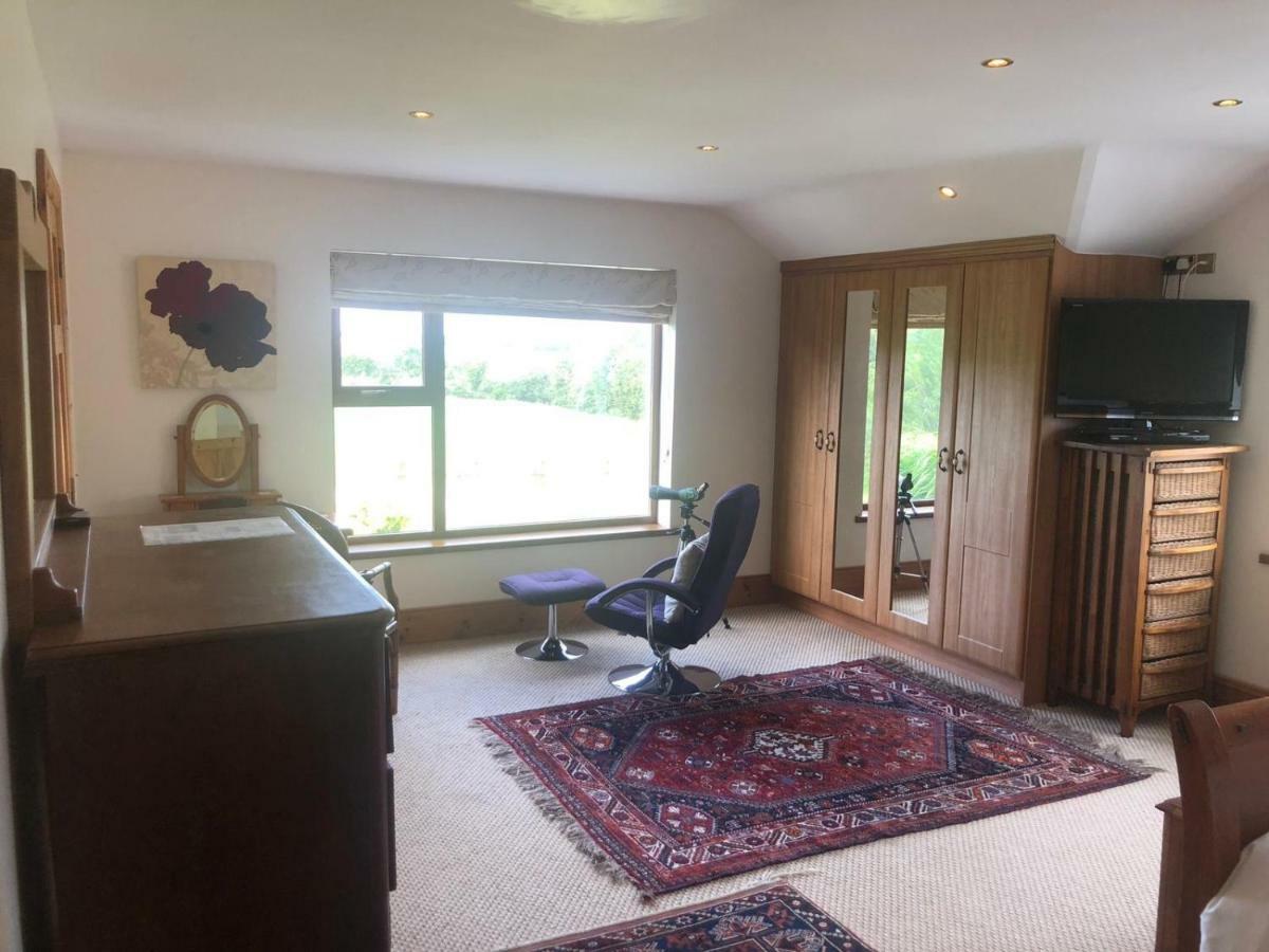 Ramsgrange Tobernaglough Wexford Pet Friendly Country B&B מראה חיצוני תמונה