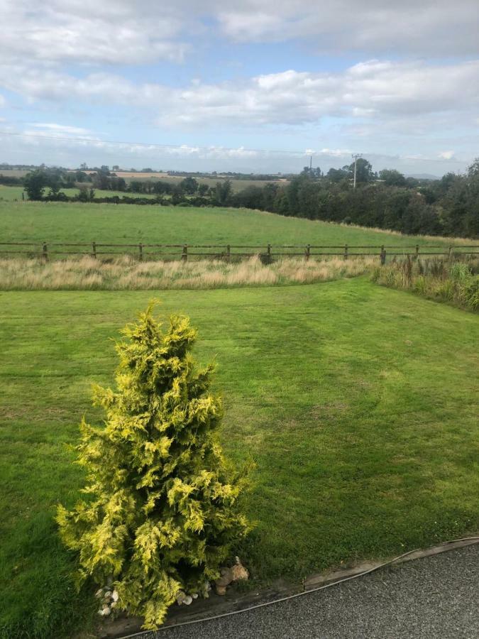 Ramsgrange Tobernaglough Wexford Pet Friendly Country B&B מראה חיצוני תמונה