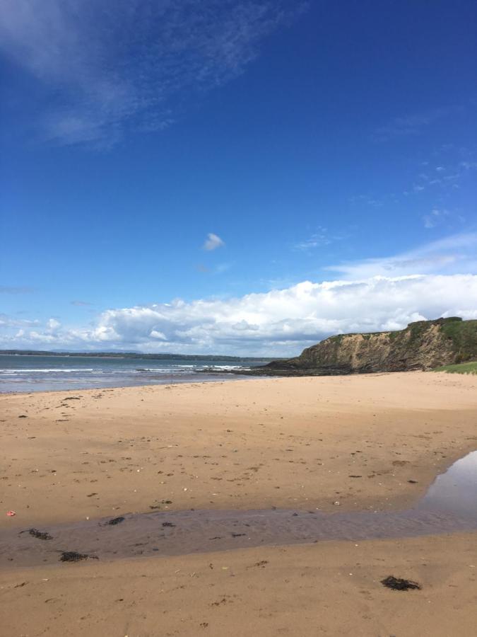 Ramsgrange Tobernaglough Wexford Pet Friendly Country B&B מראה חיצוני תמונה