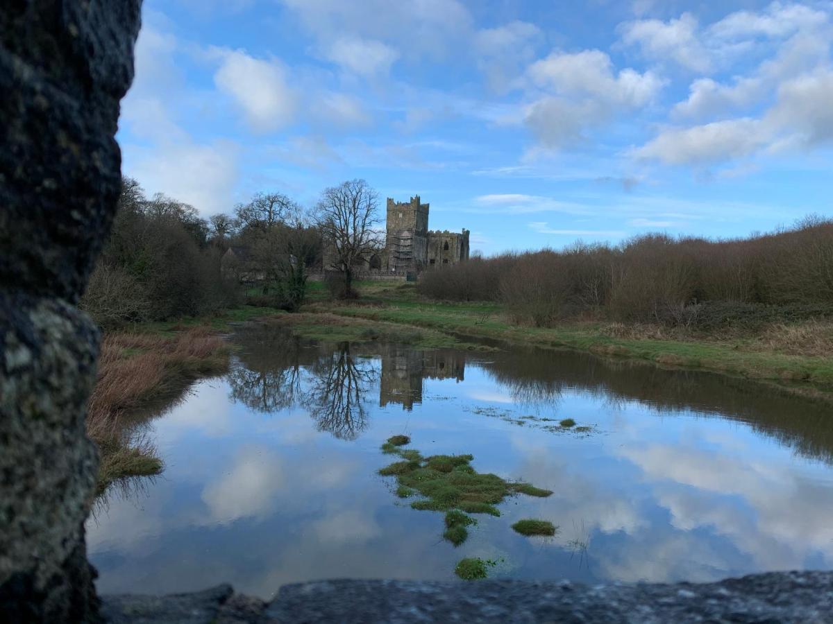 Ramsgrange Tobernaglough Wexford Pet Friendly Country B&B מראה חיצוני תמונה